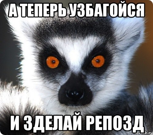 А ТЕПЕРЬ УЗБАГОЙСЯ И ЗДЕЛАЙ РЕПОЗД