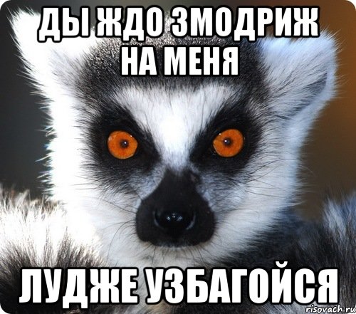 ды ждо змодриж на меня лудже узбагойся