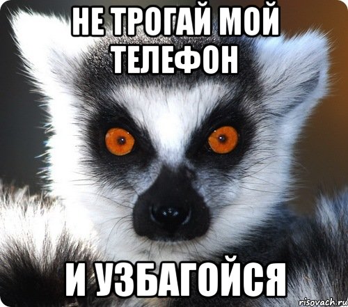 НЕ ТРОГАЙ МОЙ ТЕЛЕФОН и УЗБАГОЙСЯ, Мем лемур