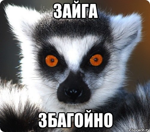 зайга збагойно