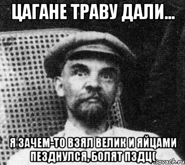 ЦАГАНЕ ТРАВУ ДАЛИ... я зачем-то взял велик и яйцами пезднулся, болят пздц(, Мем   Ленин удивлен