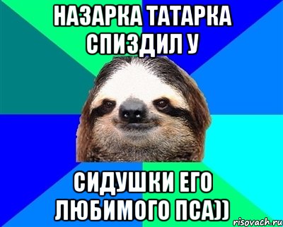 Назарка Татарка спиздил у Сидушки его любимого пса)), Мем Ленивец