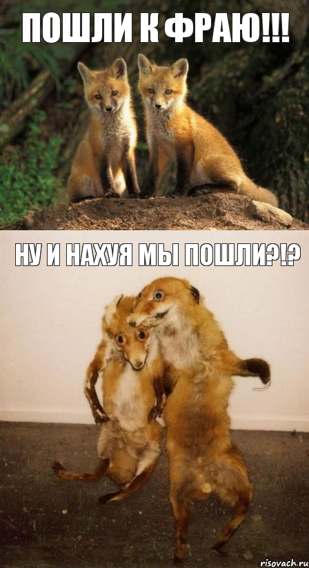 Пошли к Фраю!!! Ну и нахуя мы пошли?!?, Комикс Лисицы