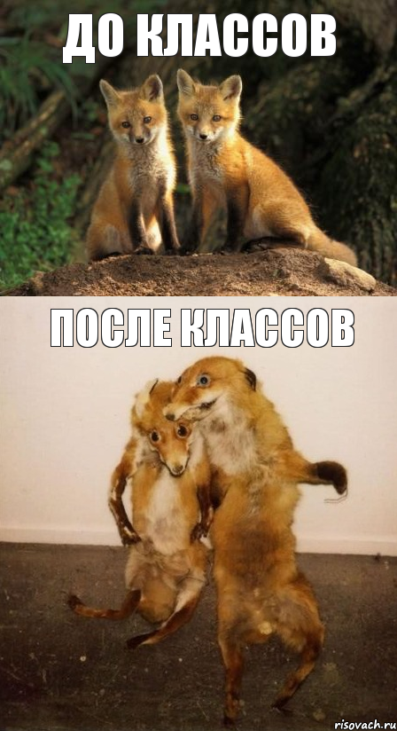 До классов После классов, Комикс Лисицы