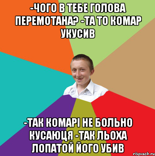 -Чого в тебе голова перемотана? -Та то комар укусив -Так комарі не больно кусаюця -Так Льоха лопатой його убив, Мем  малый паца