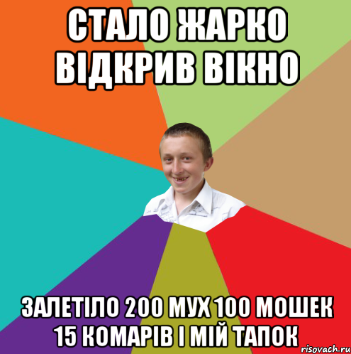 стало жарко відкрив вікно залетіло 200 мух 100 мошек 15 комарів і мій тапок, Мем  малый паца