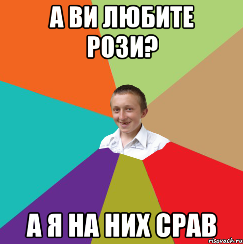 а ви любите рози? а я на них срав, Мем  малый паца