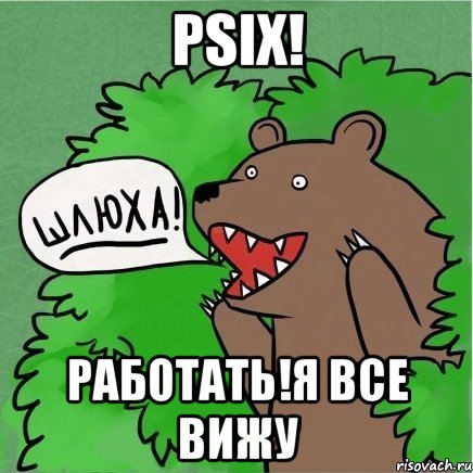 PSIX! РАБОТАТЬ!я все вижу, Мем Медведь в кустах