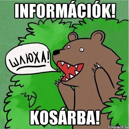 Információk! Kosárba!, Мем Медведь в кустах