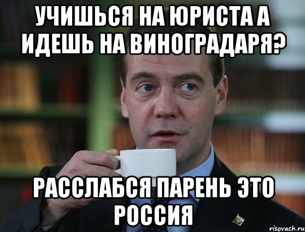 Учишься на юриста а идешь на виноградаря? Расслабся парень это Россия, Мем Медведев спок бро