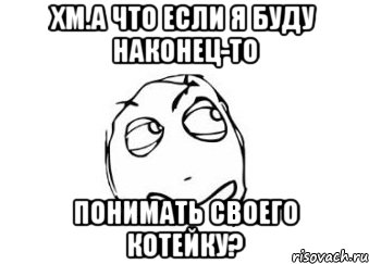 Хм.А что если я буду наконец-то понимать своего котейку?, Мем Мне кажется или