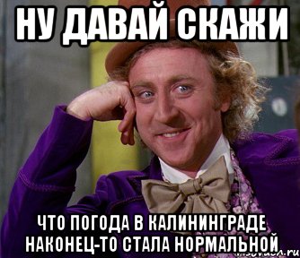 ну давай скажи что погода в калининграде наконец-то стала нормальной, Мем мое лицо