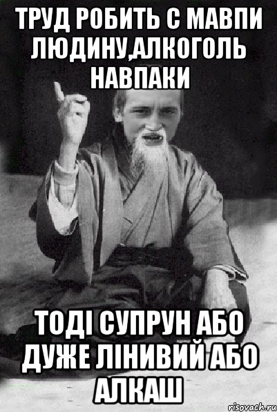 Труд робить с мавпи людину,алкоголь навпаки Тоді Супрун або дуже лінивий або алкаш, Мем Мудрий паца