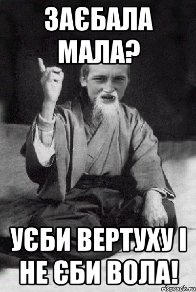 Заєбала мала? Уєби вертуху і не єби вола!, Мем Мудрий паца