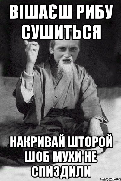 вішаєш рибу сушиться накривай шторой шоб мухи не спиздили, Мем Мудрий паца