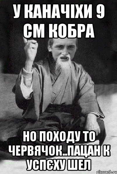 у каначіхи 9 см кобра но походу то червячок..пацан к успєху шел, Мем Мудрий паца