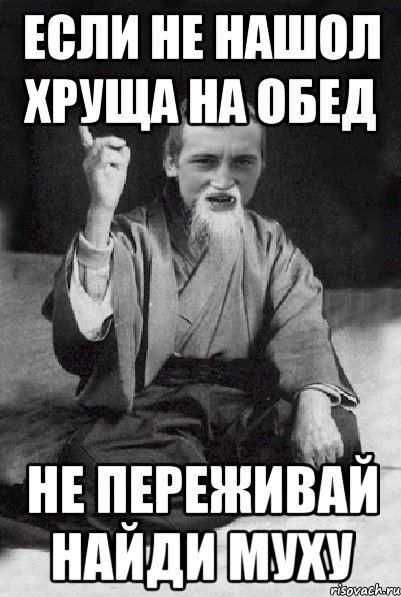 Если не нашол хруща на обед не переживай найди муху, Мем Мудрий паца