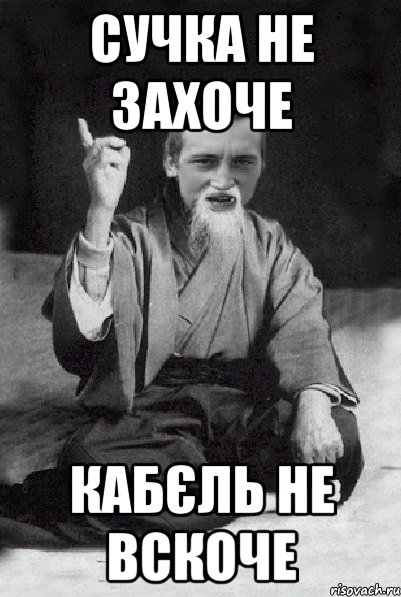 Сучка не захоче кабєль не вскоче, Мем Мудрий паца