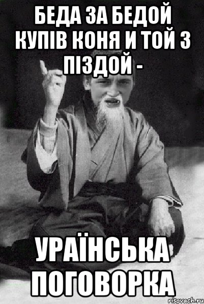 беда за бедой купів коня и той з піздой - ураїнська поговорка, Мем Мудрий паца