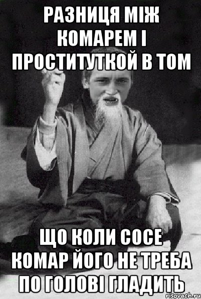 разниця мiж комарем i проституткой в том що коли сосе комар його не треба по головi гладить, Мем Мудрий паца