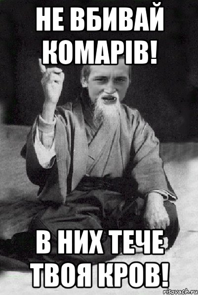 Не вбивай комарів! В них тече твоя кров!, Мем Мудрий паца