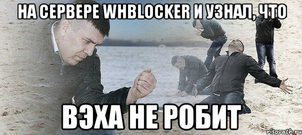 На сервере WHBlocker и узнал, что вэха не робит, Мем Мужик сыпет песок на пляже