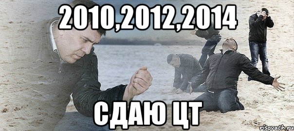 2010,2012,2014 сдаю ЦТ, Мем Мужик сыпет песок на пляже