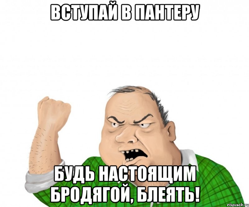 Вступай в Пантеру Будь настоящим бродягой, блеять!, Мем мужик