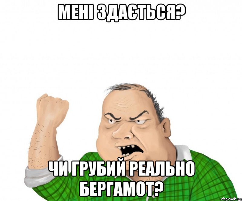 МЕНІ ЗДАЄТЬСЯ? ЧИ ГРУБИЙ РЕАЛЬНО БЕРГАМОТ?, Мем мужик