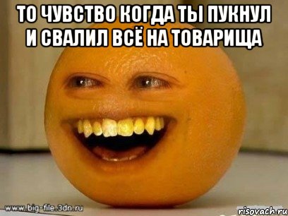 То чувство когда ты пукнул и свалил всё на товарища , Мем Надоедливый апельсин