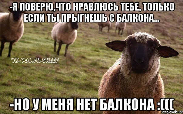 -Я поверю,что нравлюсь тебе, только если ты прыгнешь с балкона... -Но у меня нет балкона :(((, Мем  Наивная Овца