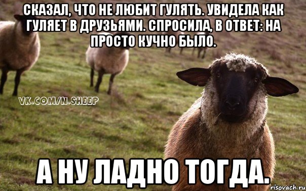 Сказал, что не любит гулять. Увидела как гуляет в друзьями. Спросила, в ответ: на просто кучно было. А ну ладно тогда., Мем  Наивная Овца