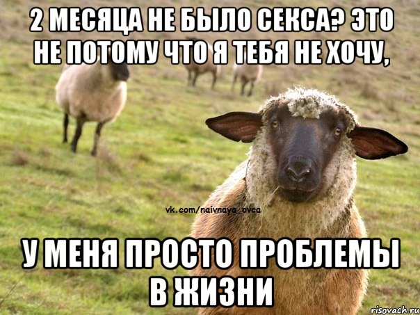 2 месяца не было секса? это не потому что я тебя не хочу, у меня просто проблемы в жизни, Мем  Наивная Овца