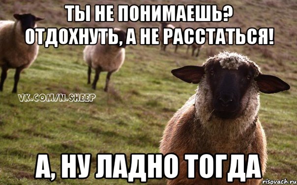 Ты не понимаешь? Отдохнуть, а не расстаться! А, ну ладно тогда, Мем  Наивная Овца