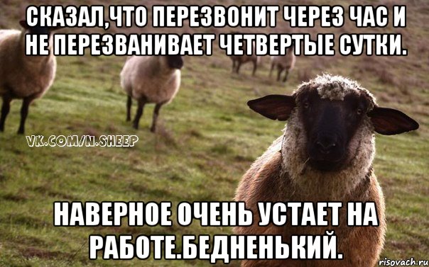 Сказал,что перезвонит через час и не перезванивает четвертые сутки. Наверное очень устает на работе.бедненький., Мем  Наивная Овца