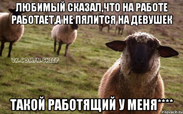 Любимый сказал,что на работе работает,а не пялится на девушек Такой работящий у меня****, Мем  Наивная Овца