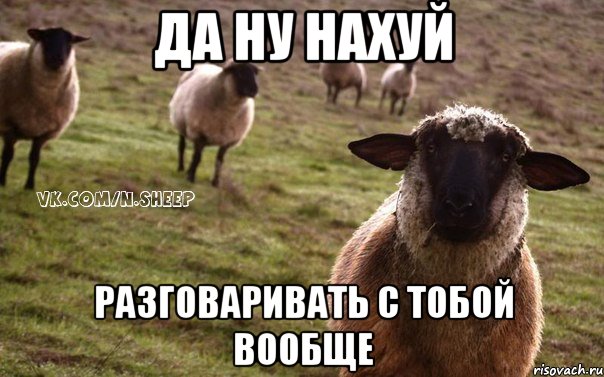 да ну нахуй разговаривать с тобой вообще, Мем  Наивная Овца