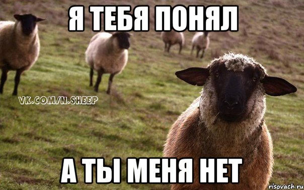 я тебя понял а ты меня нет, Мем  Наивная Овца