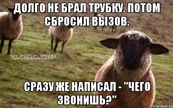 ДОЛГО НЕ БРАЛ ТРУБКУ. ПОТОМ СБРОСИЛ ВЫЗОВ. СРАЗУ ЖЕ НАПИСАЛ - "ЧЕГО ЗВОНИШЬ?", Мем  Наивная Овца