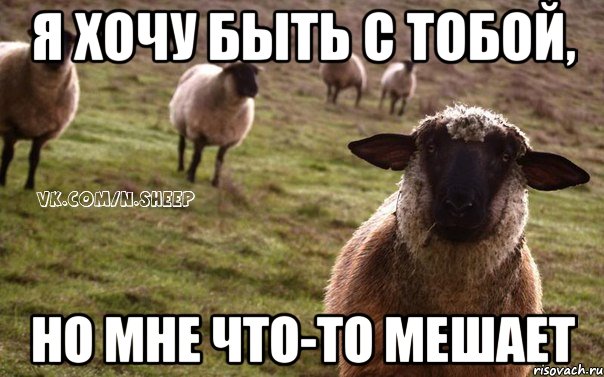 я хочу быть с тобой, но мне что-то мешает, Мем  Наивная Овца