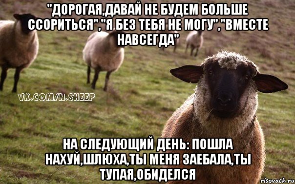 "дорогая,давай не будем больше ссориться","Я без тебя не могу","Вместе навсегда" На следующий день: ПОШЛА НАХУЙ,ШЛЮХА,ТЫ МЕНЯ ЗАЕБАЛА,ТЫ ТУПАЯ,ОБИДЕЛСЯ, Мем  Наивная Овца