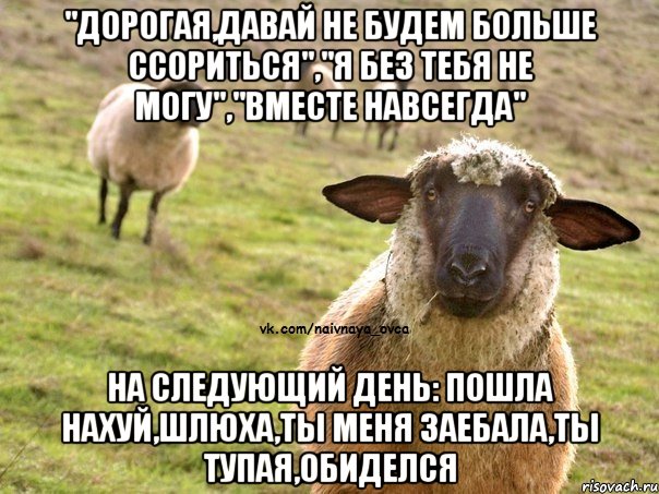 "дорогая,давай не будем больше ссориться","я без тебя не могу","вместе навсегда" на следующий день: пошла нахуй,шлюха,ты меня заебала,ты тупая,обиделся, Мем  Наивная Овца