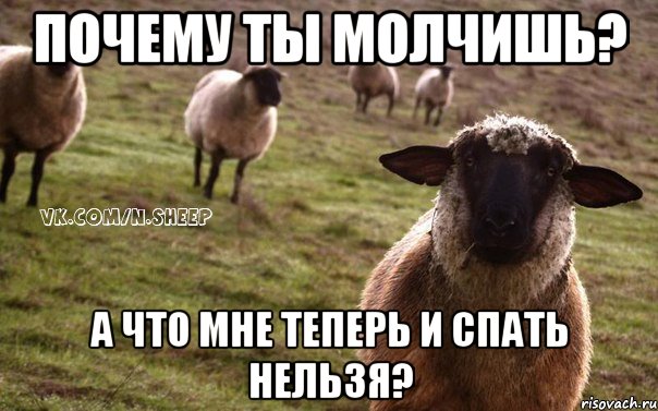 почему ты молчишь? а что мне теперь и спать нельзя?, Мем  Наивная Овца