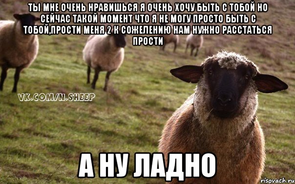 ты мне очень нравишься я очень хочу быть с тобой но сейчас такой момент что я не могу просто быть с тобой,прости меня 2 к сожелению нам нужно расстаться прости А ну ладно, Мем  Наивная Овца