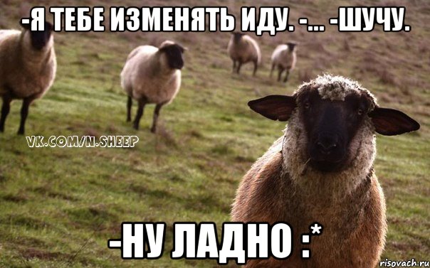 -я тебе изменять иду. -... -шучу. -ну ладно :*, Мем  Наивная Овца