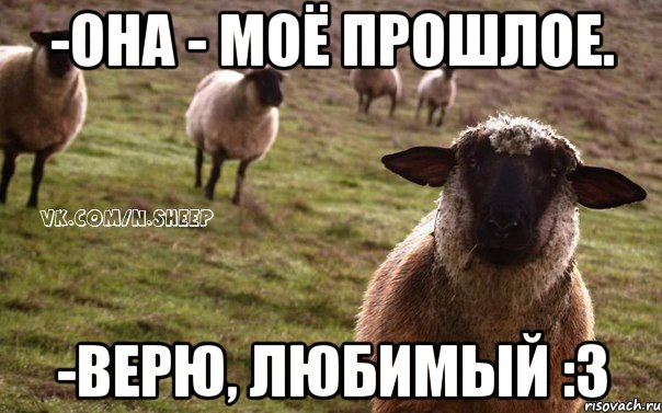 -она - моё прошлое. -верю, любимый :3, Мем  Наивная Овца