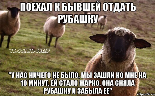 поехал к бывшей отдать рубашку "у нас ничего не было, мы зашли ко мне на 10 минут, ей стало жарко, она сняла рубашку и забыла ее", Мем  Наивная Овца