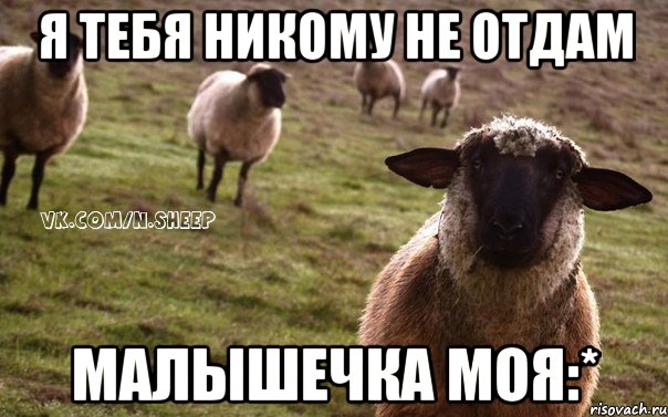 я тебя никому не отдам малышечка моя:*, Мем  Наивная Овца