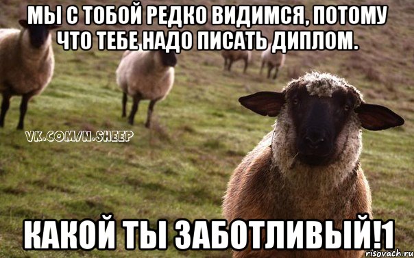 Мы с тобой редко видимся, потому что тебе надо писать диплом. Какой ты заботливый!1, Мем  Наивная Овца