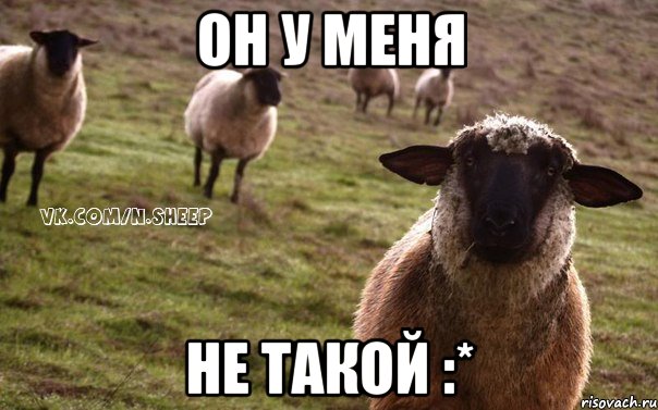 он у меня не такой :*, Мем  Наивная Овца